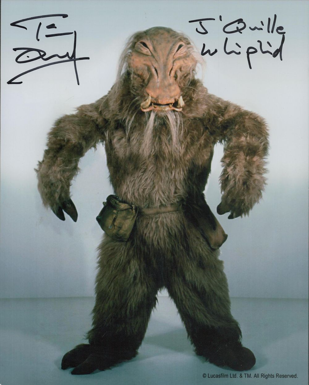 Lot 118: SALE! Star Wars Tim Dry hand signed 10x8...