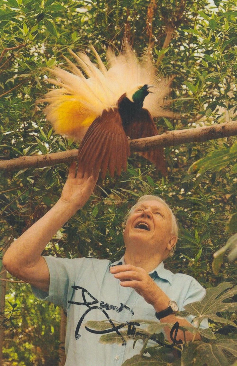Lot 192: David Attenborough signed 6x4inch colour photo. Good condition....