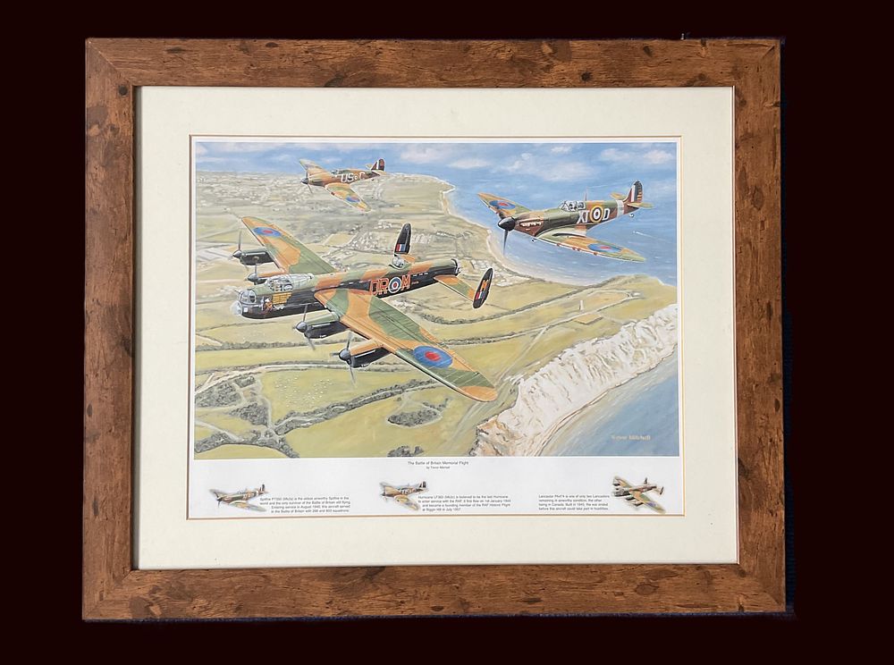 Lot 200: The Battle of Britain Memorial Flight by Trevor...