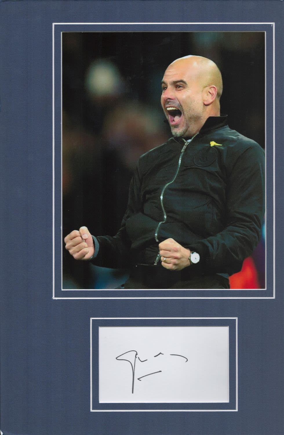 Lot 57: Football Pep Guardiola 16x12 mounted signature piece includes...