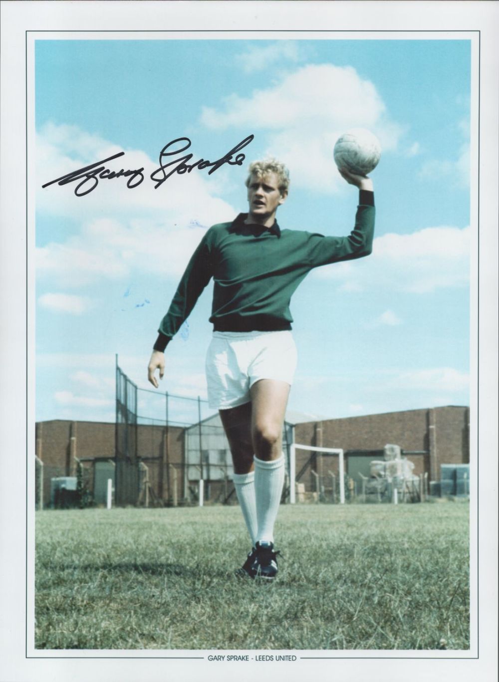 Lot 103: Football Gary Sprake signed 16x12 Leeds United colour...