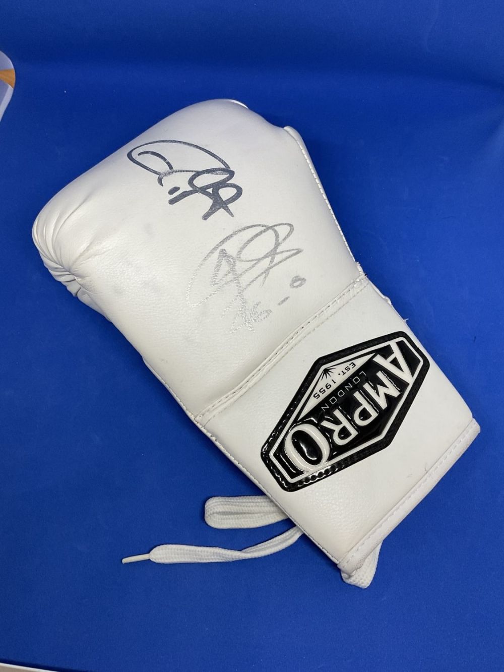 Lot 192: Joe Calzaghe and Roy Jones Jnr signed AMPRO...