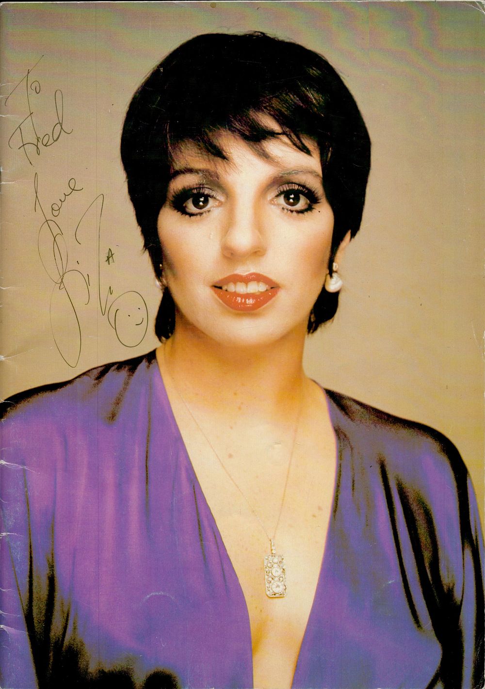 Lot 201: Liza Minnelli signed 1978 vintage concert tour programme...
