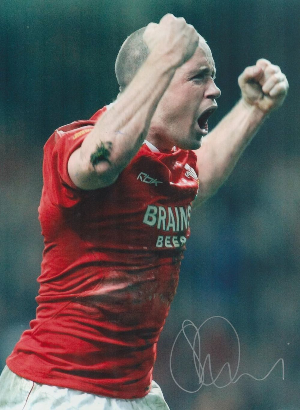 Lot 331: Rugby Shane Williams signed 16x12 colour photo pictured...