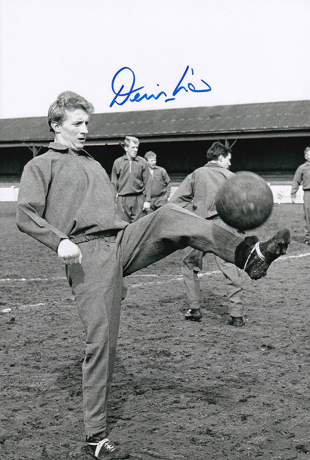 Lot 269: Autographed DENIS LAW 12 x 8 photo :...