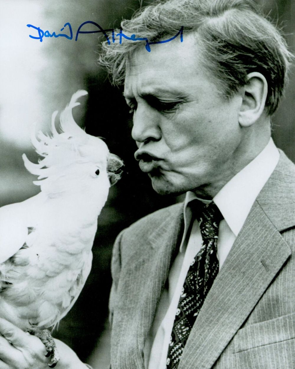 Lot 1025: TV Film David Attenborough signed 10x8 black and...