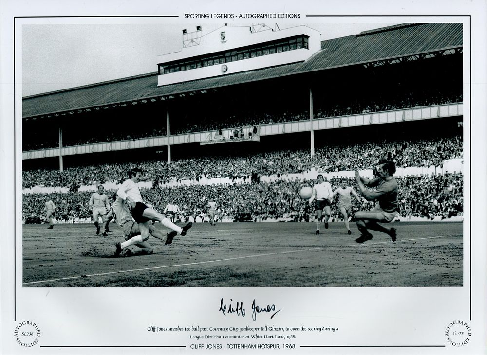 Lot 226: David Nugent signed 17x13 inch mounted signature piece....