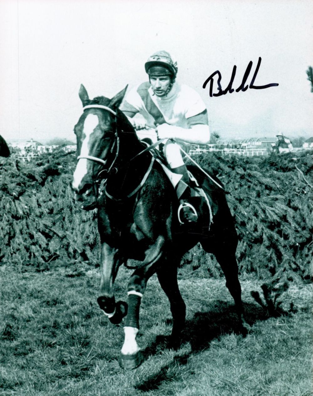 Lot 363: Bob Champion signed 10x8 black and white photo...