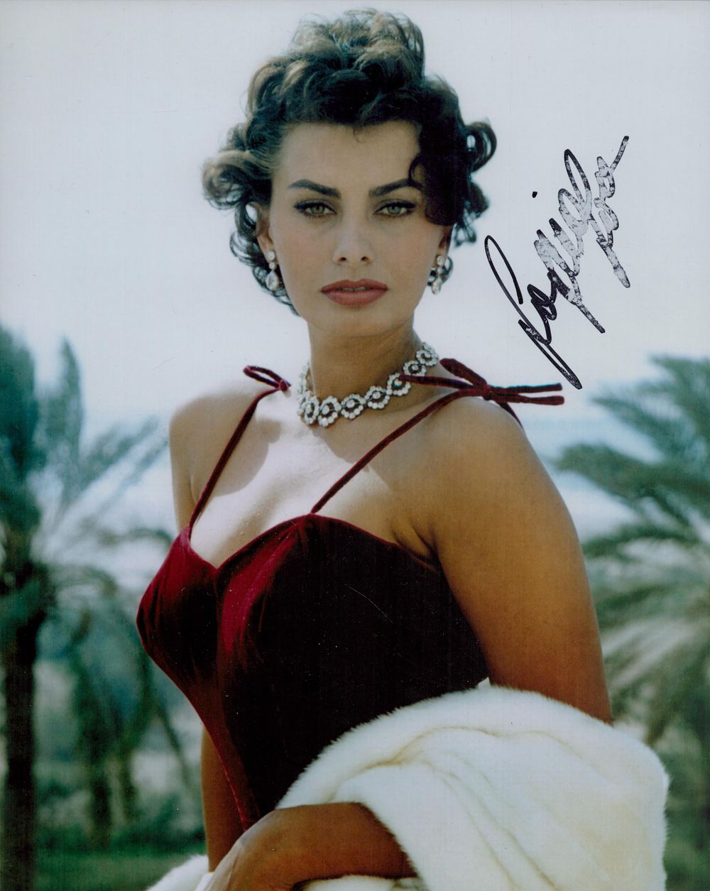 Lot 463: Sophia Loren signed 10x8 inch colour photo. Signature...