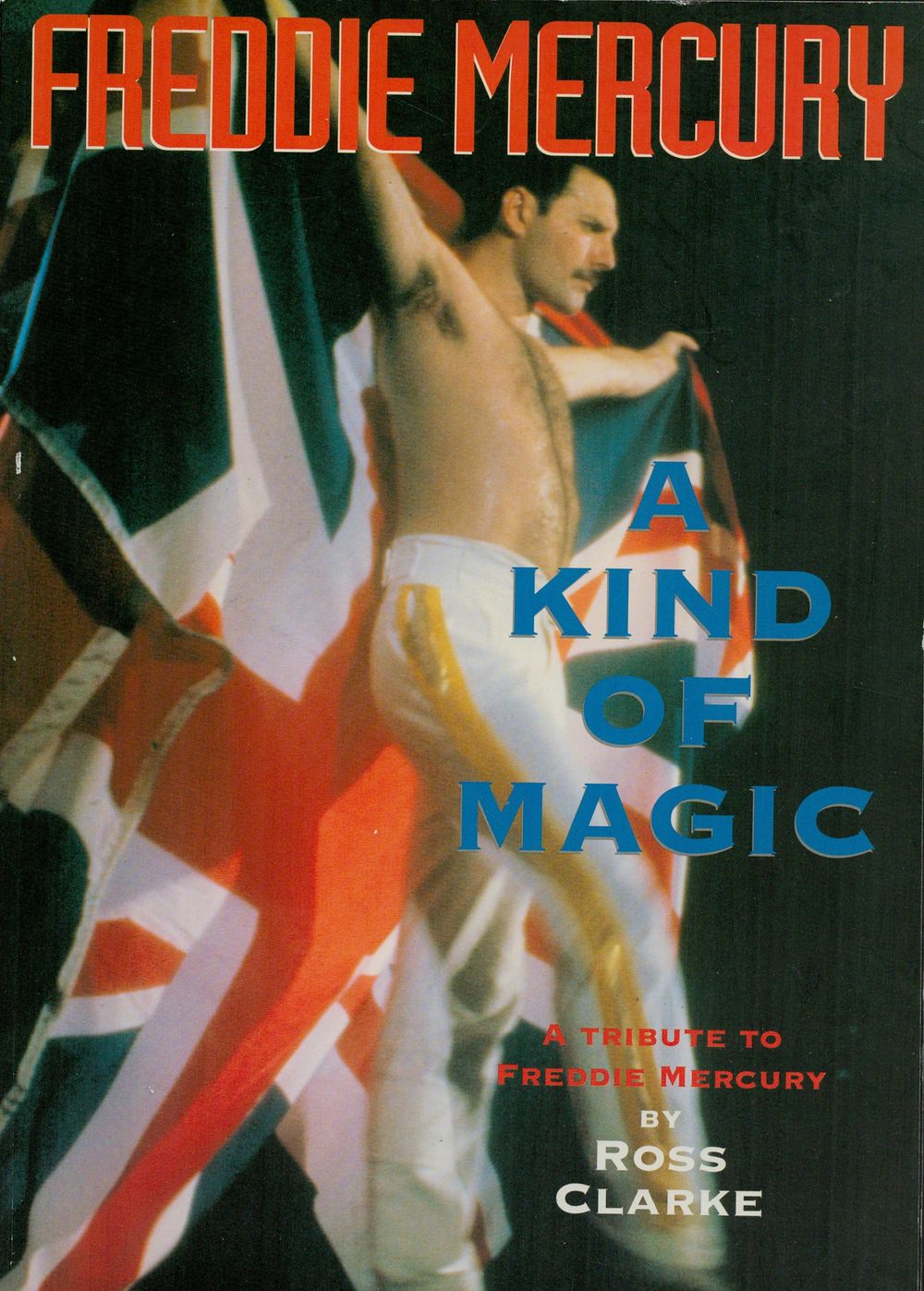 Lot 646: Freddie Mercury soft back book A Tribute to...