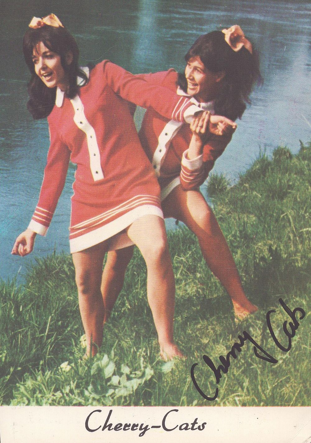Lot 196: Cherry Cats signed 6x4 inch colour promo postcard....