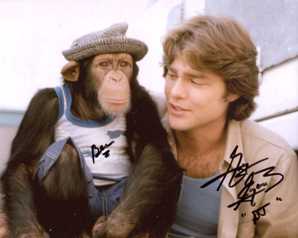 Lot 185: Greg Evigan, popular American actor signed 8x10 photo...