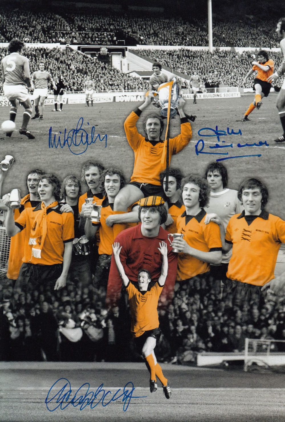 Lot 318: Autographed WOLVES 12 x 8 photo - Colorized,...