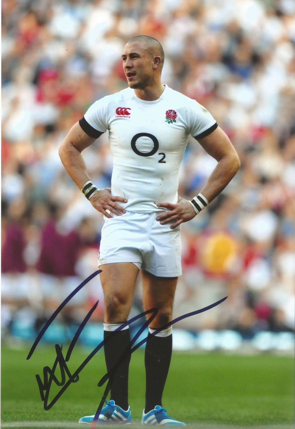 Lot 213: Rugby Mike Brown Signed 12x8 colour photo. Photo...