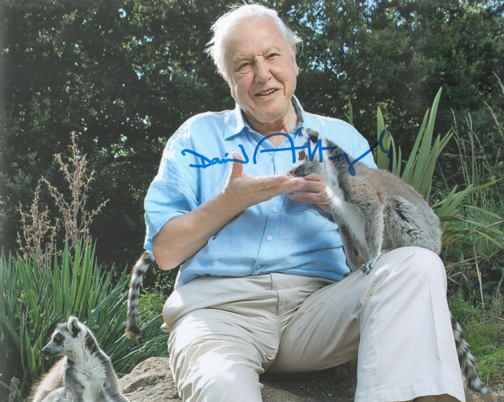 Lot 519: David Attenborough signed 10x8 colour photo. Attenborough is...