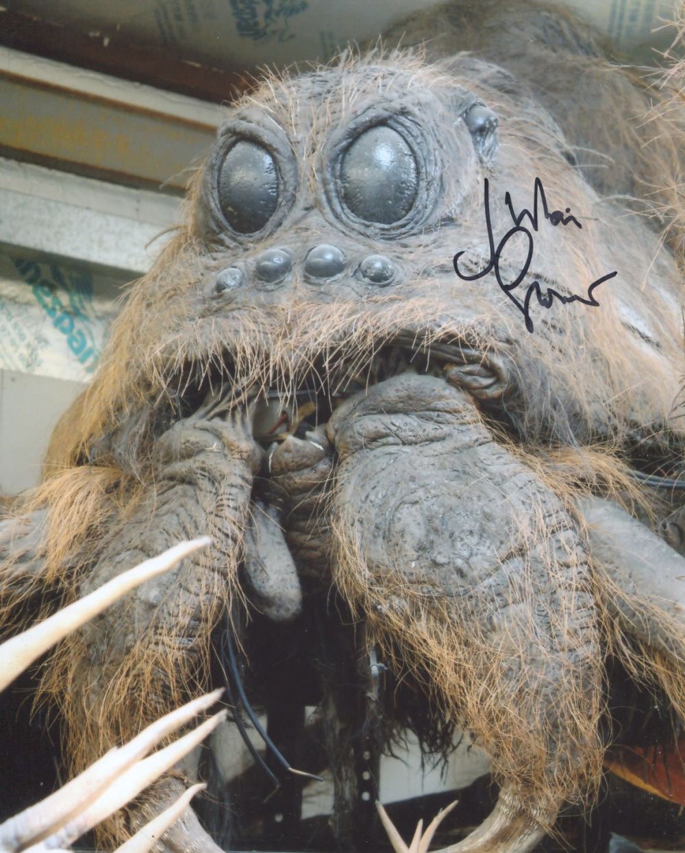Lot 644: Harry Potter 8x10 photo signed by Julian Glover...