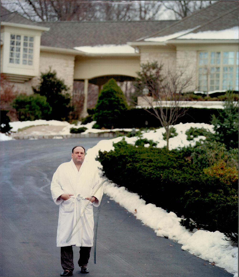 Lot 395: James Gandolfini signed 10x8 inch colour photo. Good...