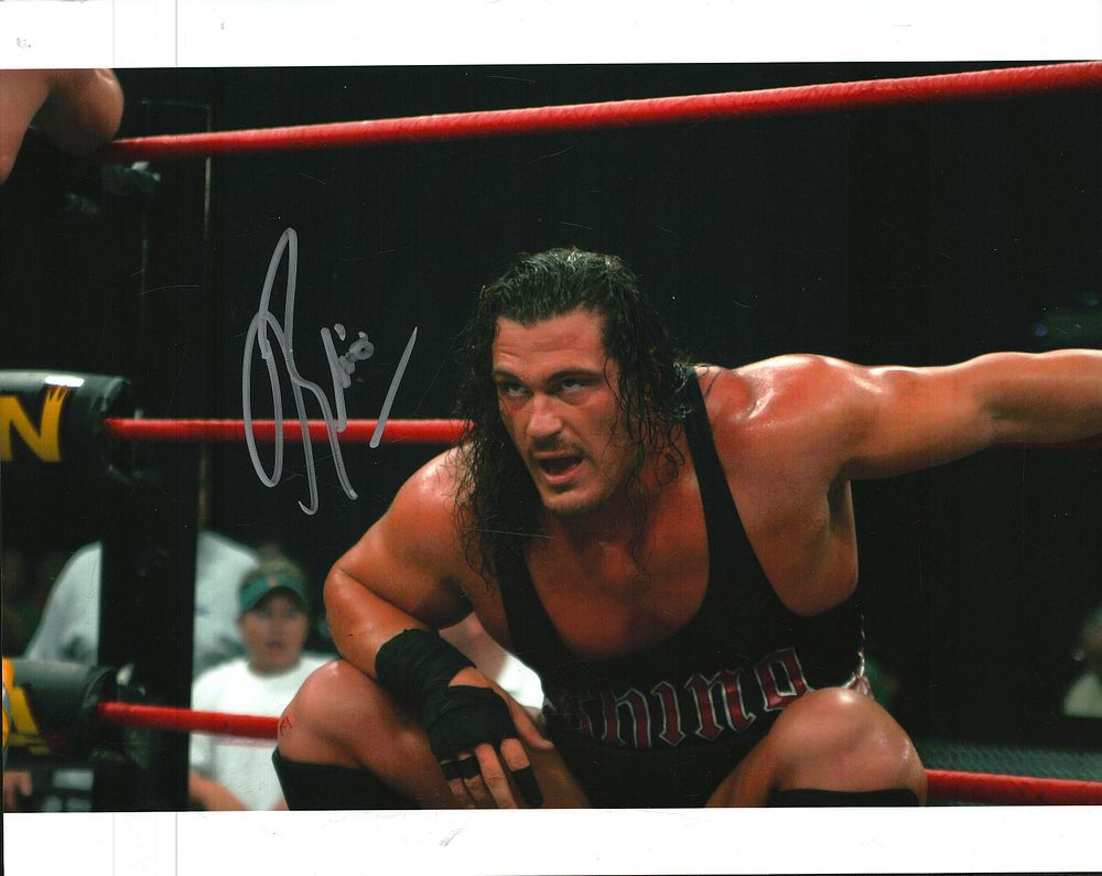 Lot 189: Rhino signed 10x8inch colour photo. Good condition. All...