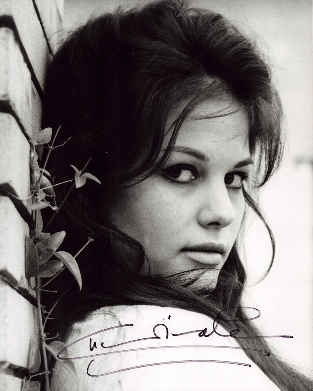 Lot 169: CLAUDIA CARDINALE Actress signed 8x10 Photo. Good condition....