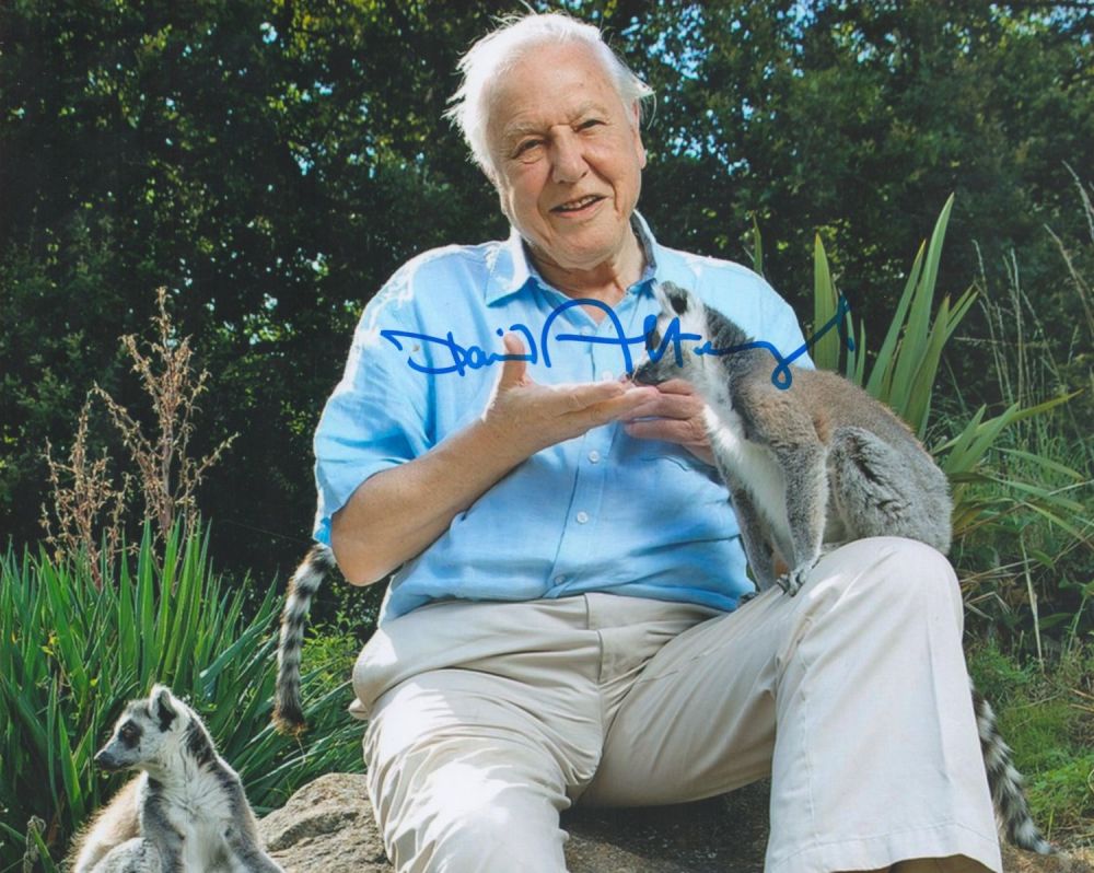 Lot 247: David Attenborough signed 10x8 colour photo. Sir David...