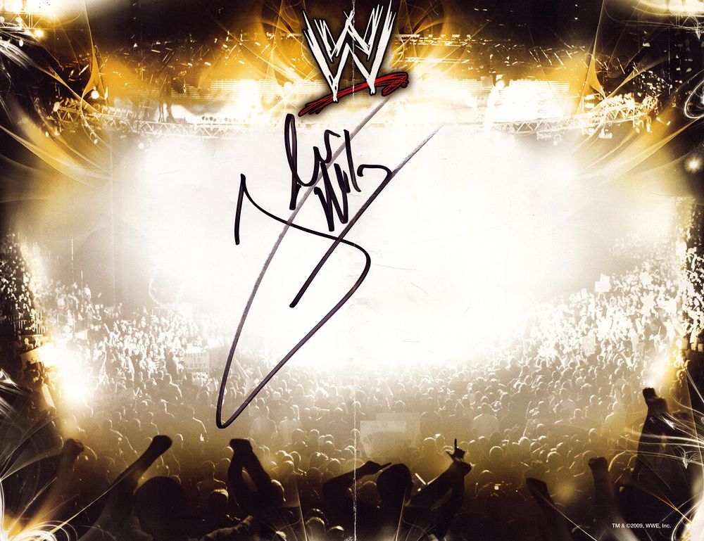 WWE John Cena signed 10x8inch colour photo. Good condition. All autographs come with a 