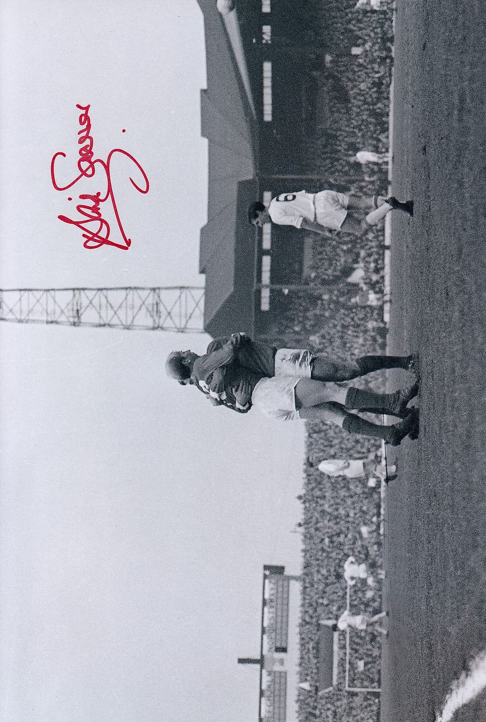 Lot 289: Autographed DAVID SADLER 12 x 8 Photo :...