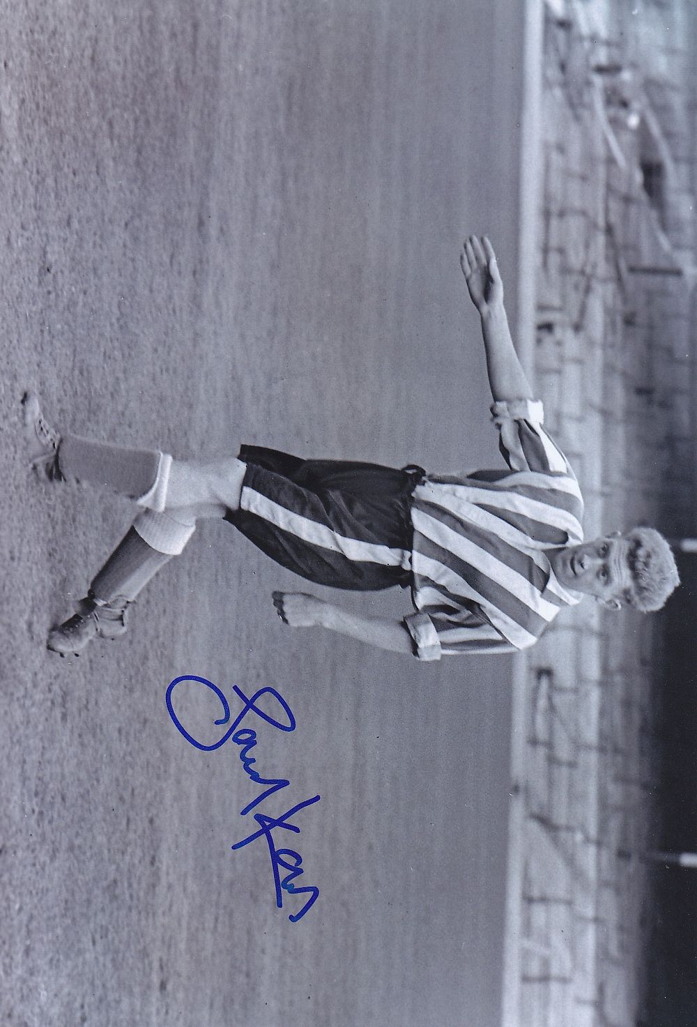 Lot 300: Autographed SHEFF WEDNESDAY 12 x 8 Photograph 1956...