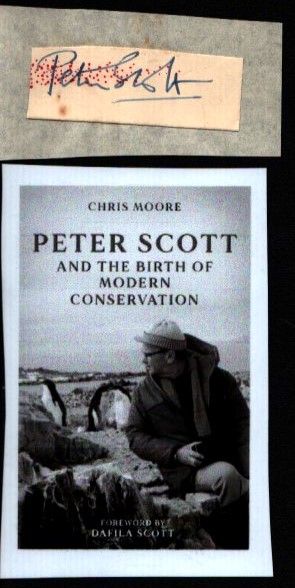 Lot 373: Peter Scott small, clipped signature with unsigned photo.