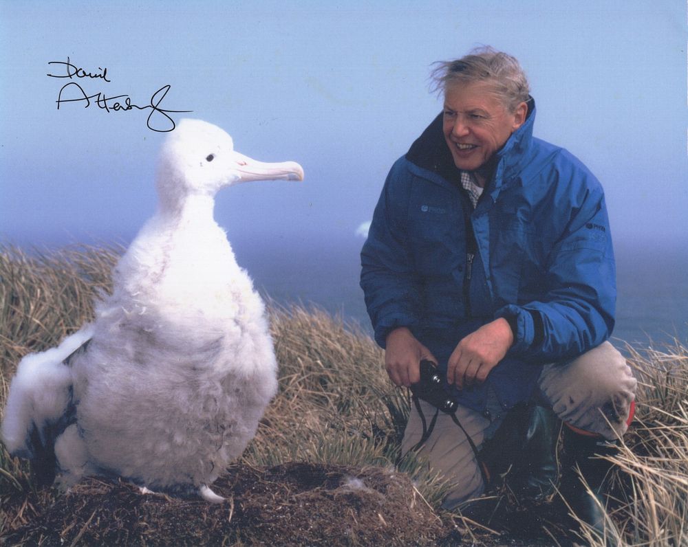 Lot 597: David Attenborough, legendary naturalist and TV documentary maker...