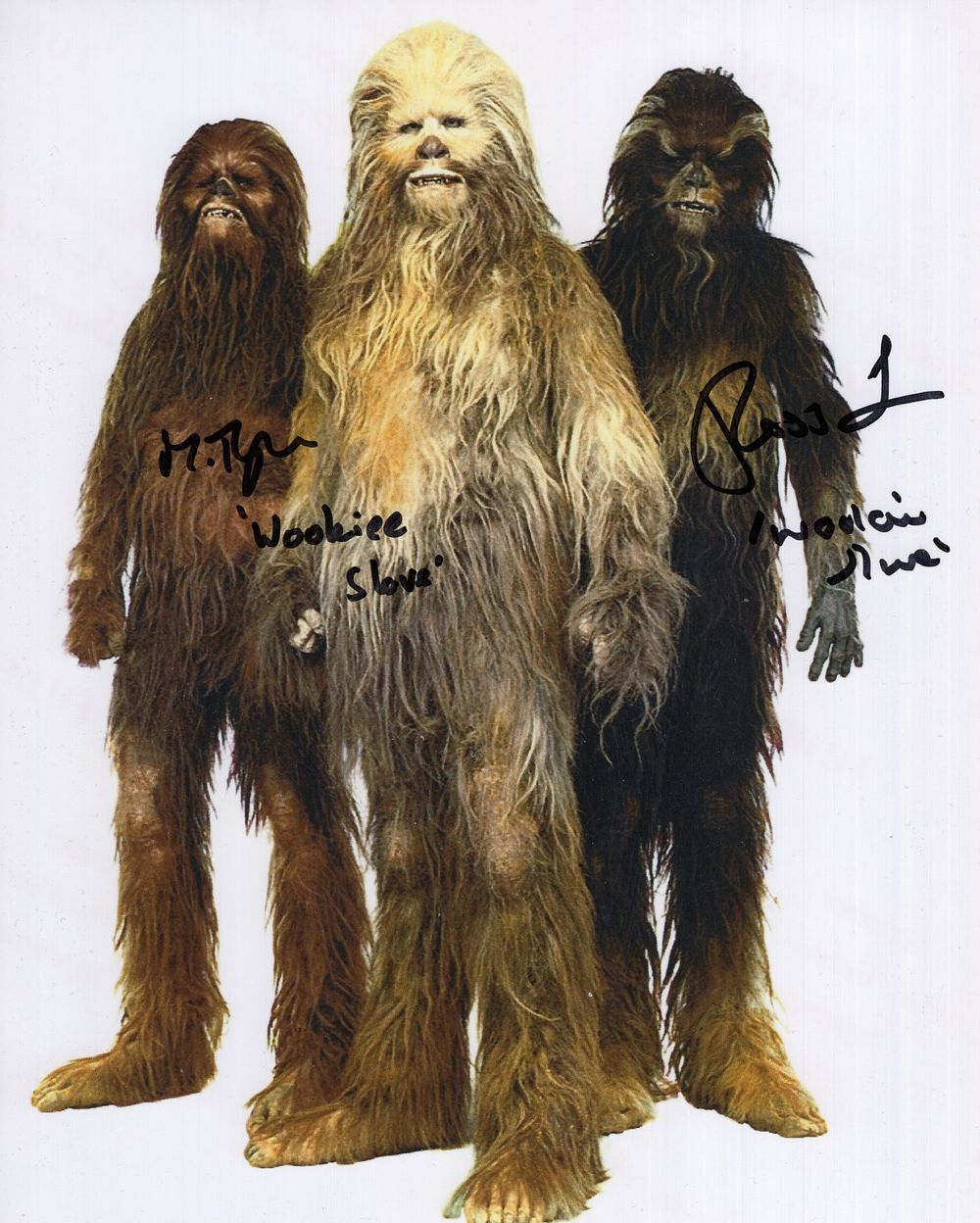 Lot 668: Star Wars Solo colour 8x10 photo signed by...