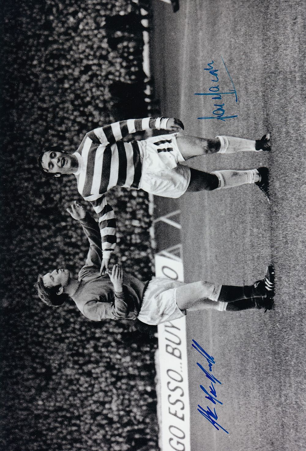 Lot 364: Autographed LOU MACARI / ALEX MacDONALD 12 x...