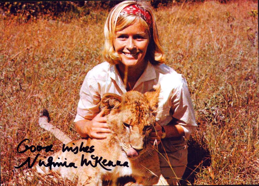 Lot 397: Virginia Mckenna signed 7x5inch colour photo. Good condition....