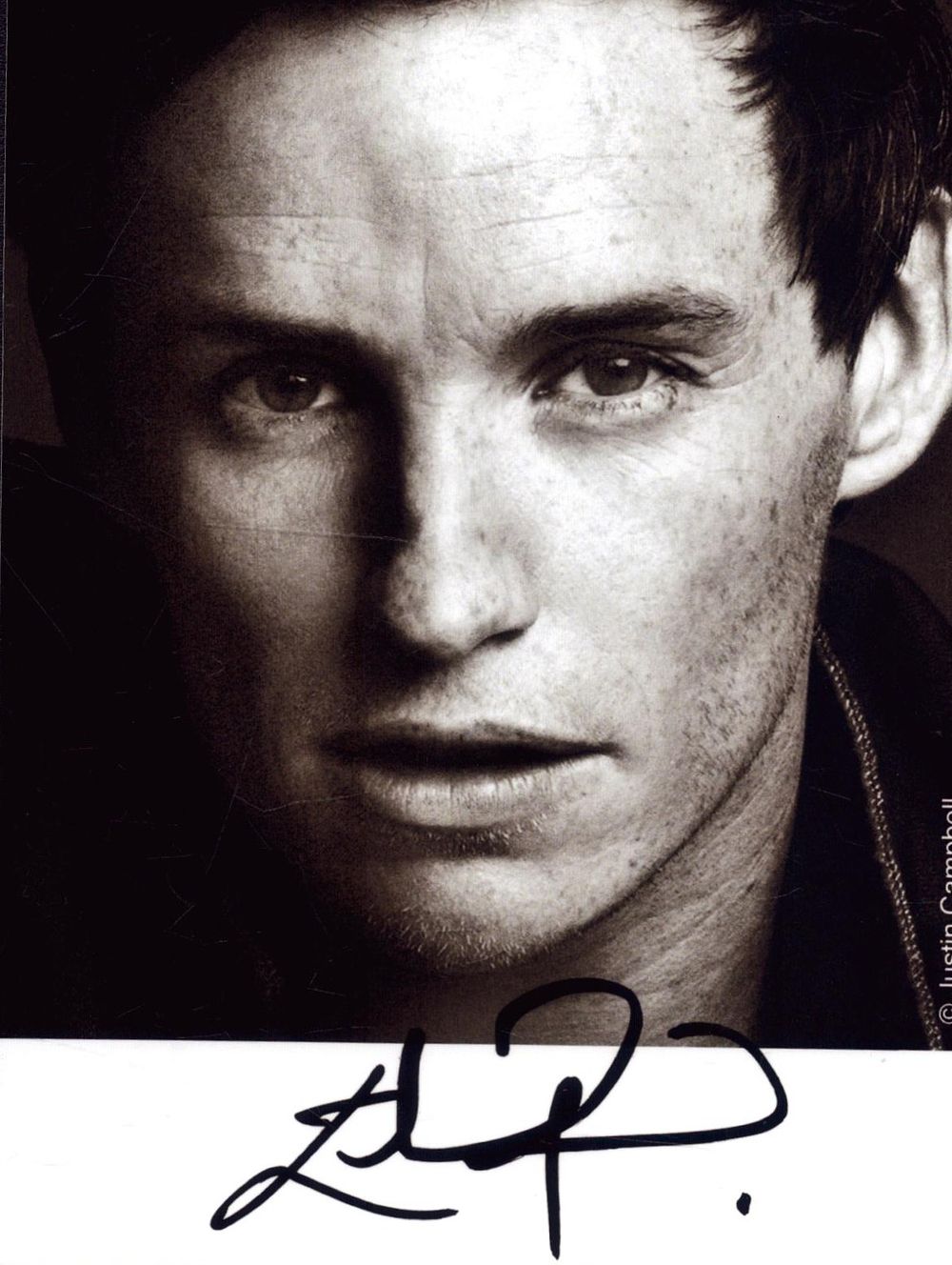 Lot 454: Eddie Redmayne, signed 6x4 black and white photo....