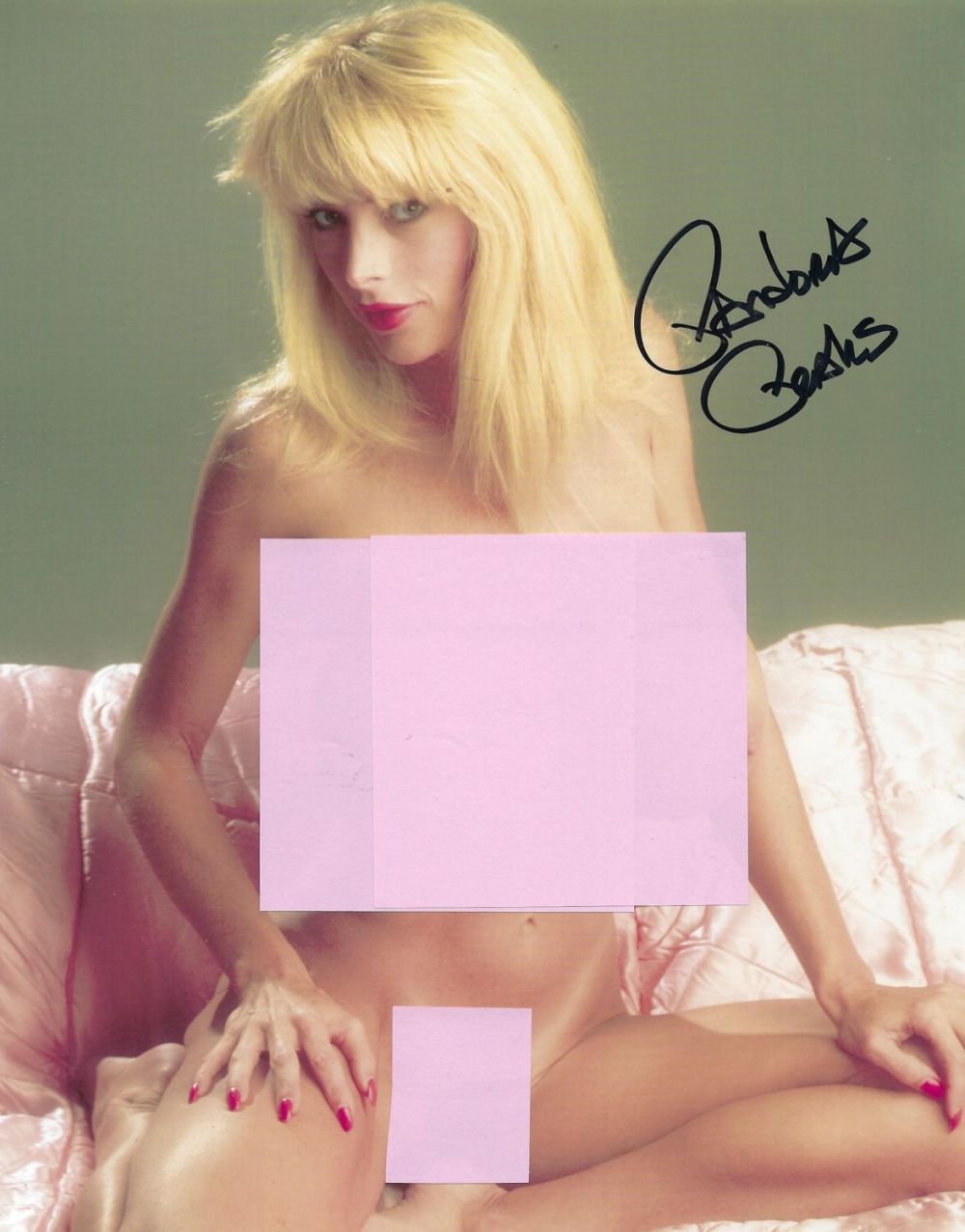 Lot 376: Pandora Peaks signed 10x8 colour glamour photo. Peaks...