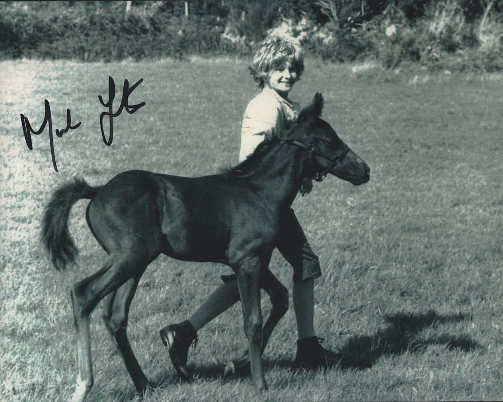 Lot 353: Mark Lester signed 10x8inch Black Beauty black and...