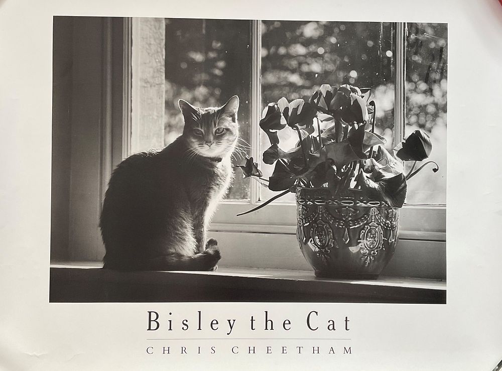 Lot 743: Chris Cheetham Black and White Poster Titled 'Bisley...