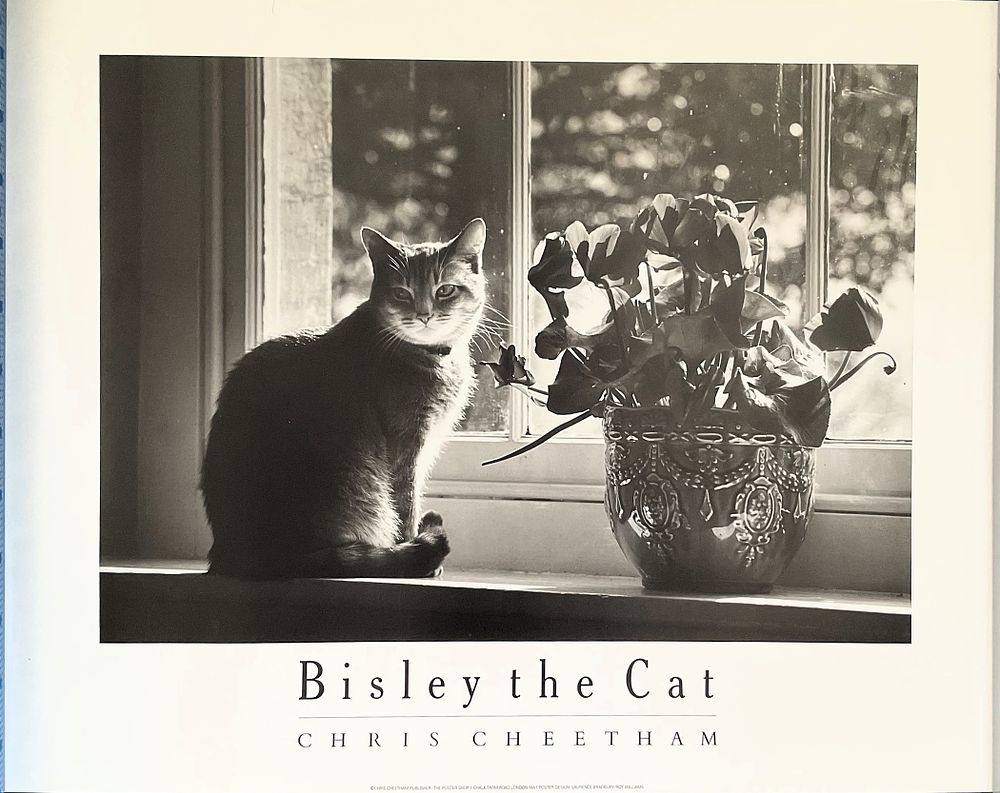 Lot 795: Bisley the Cat 24x18 inch black and white...