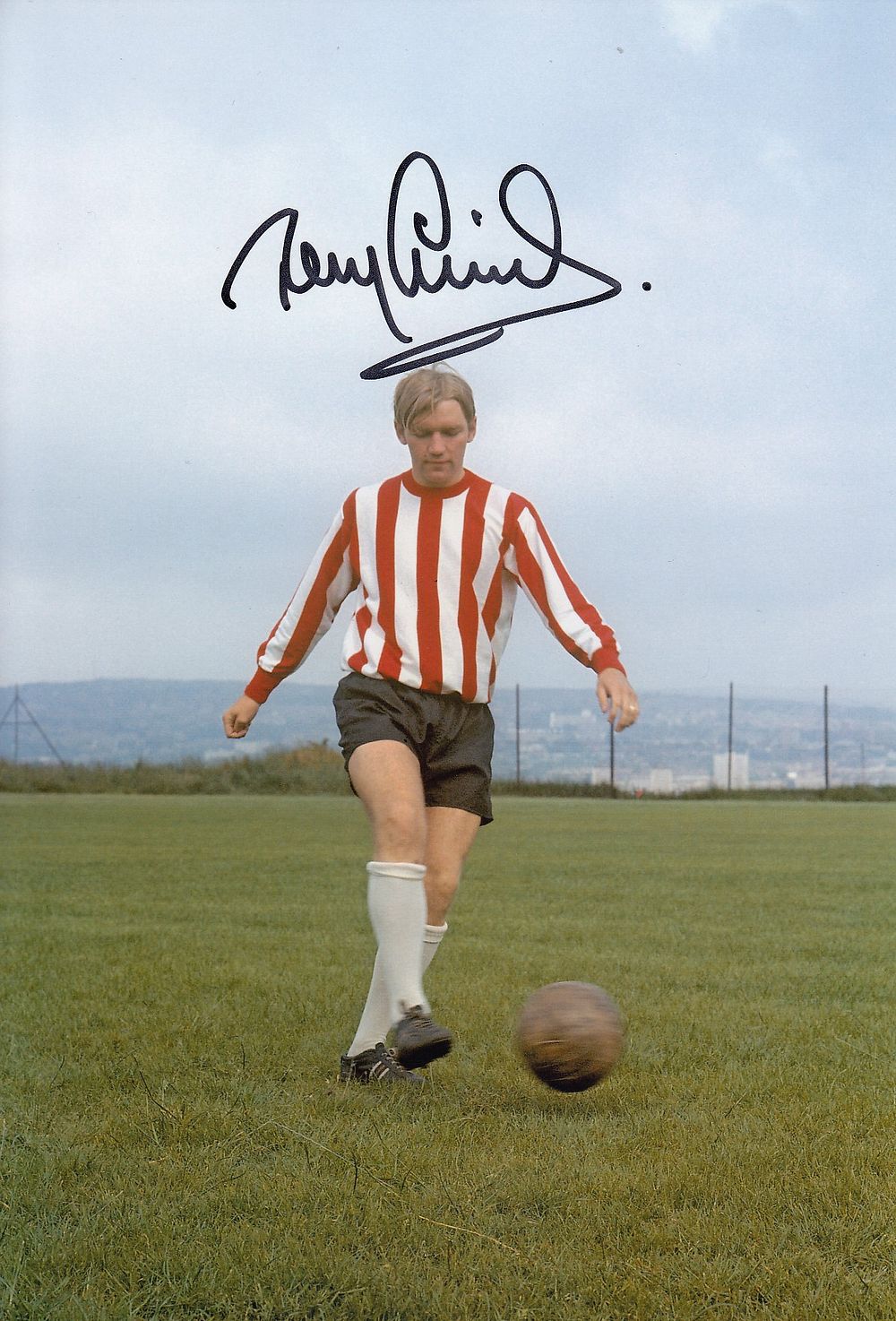 Lot 323: Autographed TONY CURRIE 12 x 8 Photo :...