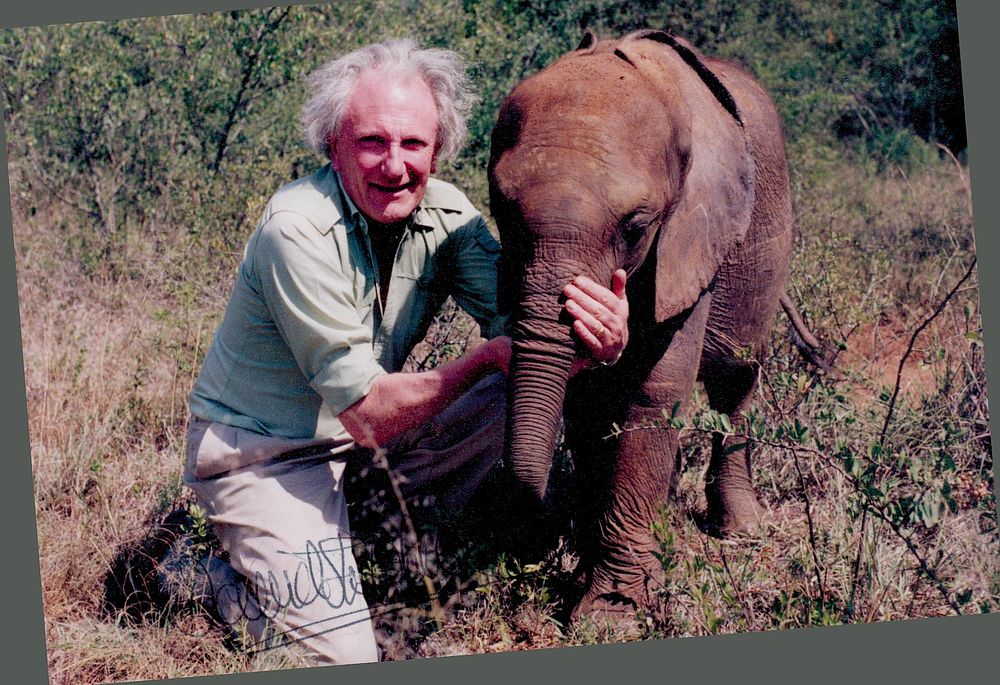 Lot 347: David Shepherd signed 6x4inch colour photo. Good condition....