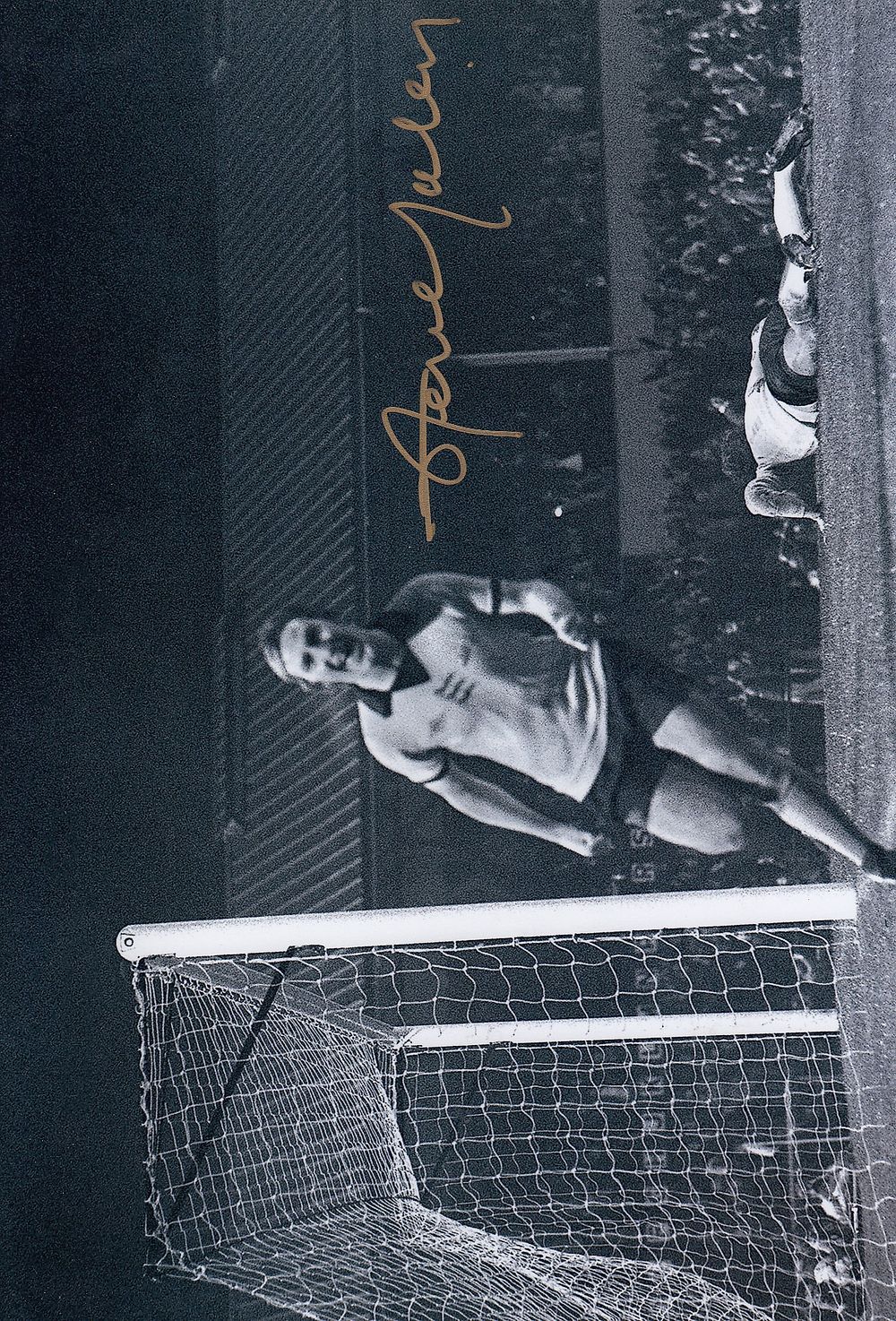 Lot 271: Autographed STEVE DALEY 12 x 8 Photo :...