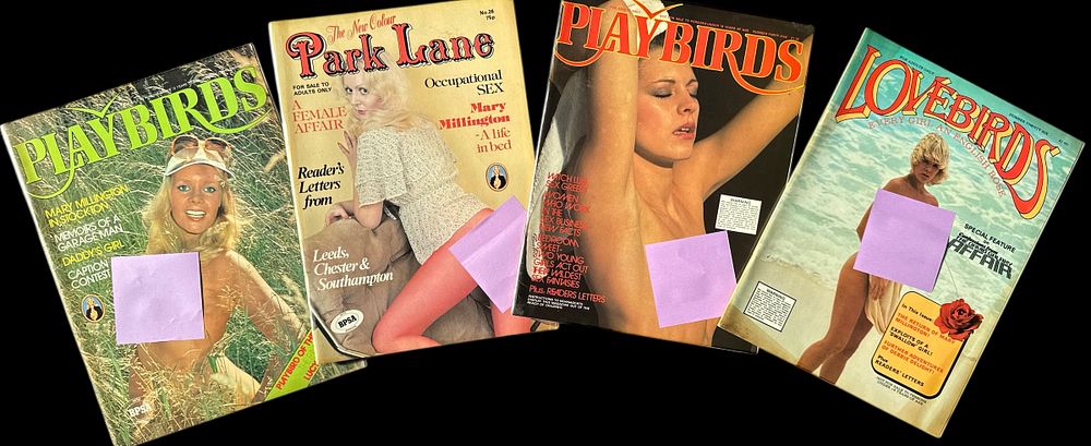 Lot 175: Risqué magazine 4 in collection. Play Birds, Park...