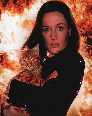 Gillian Anderson signed 10x8inch colour photo.