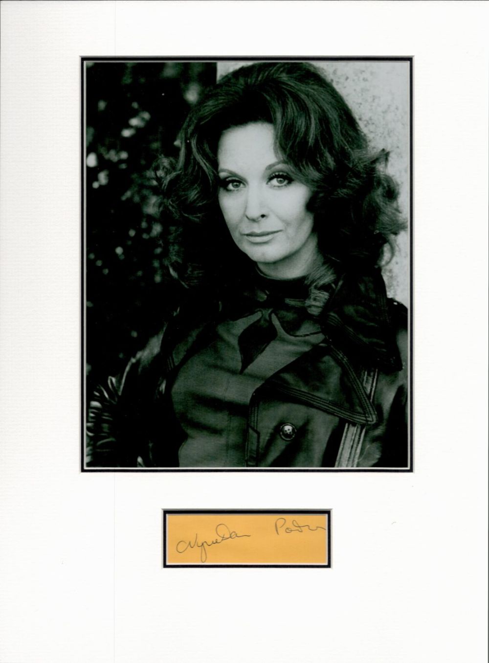 Lot 145: Nyree Dawn Porter 16x12 overall mounted signature piece....