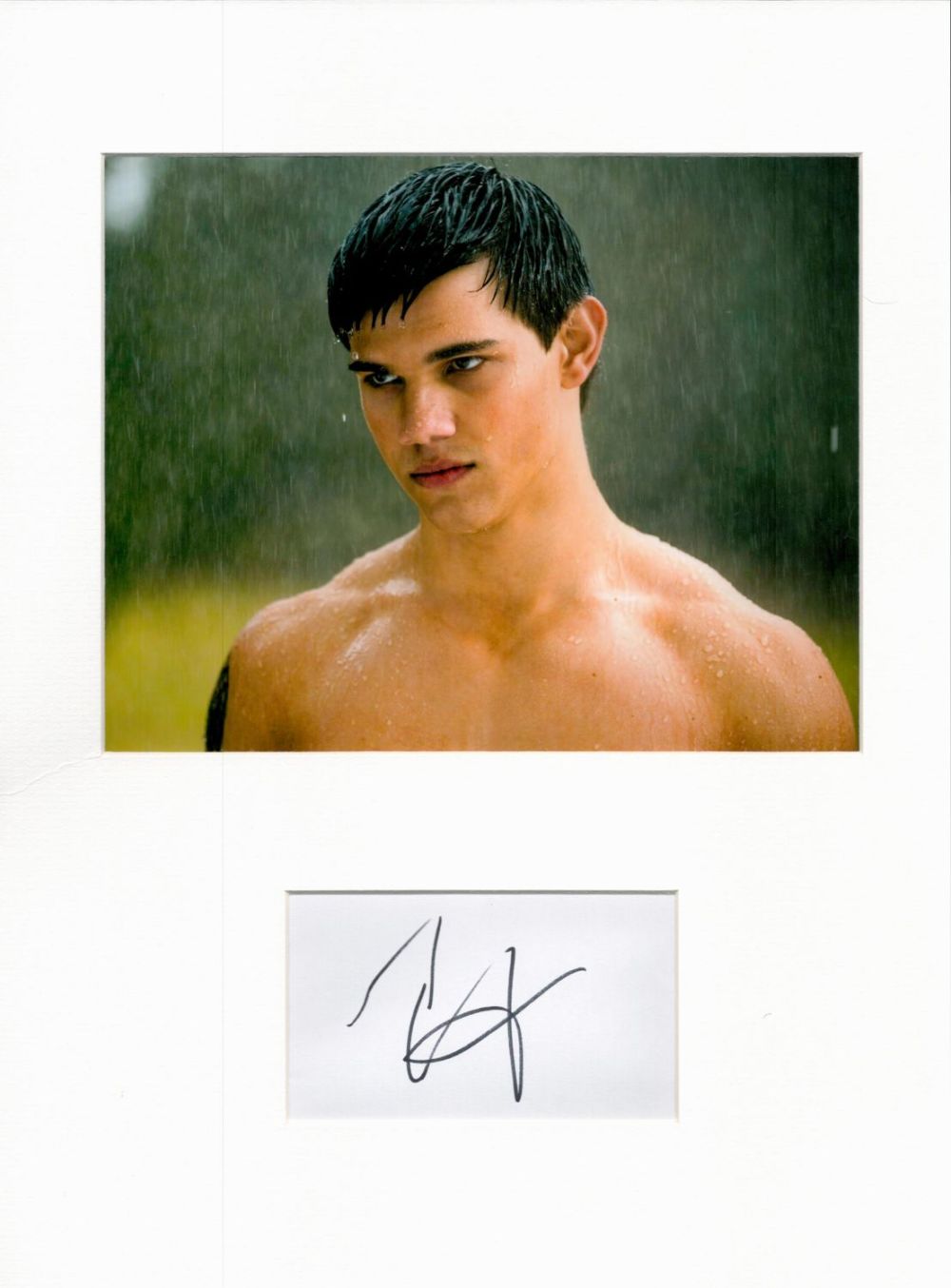 Lot 150: Taylor Lautner 16x12 overall Twilight mounted signature piece....