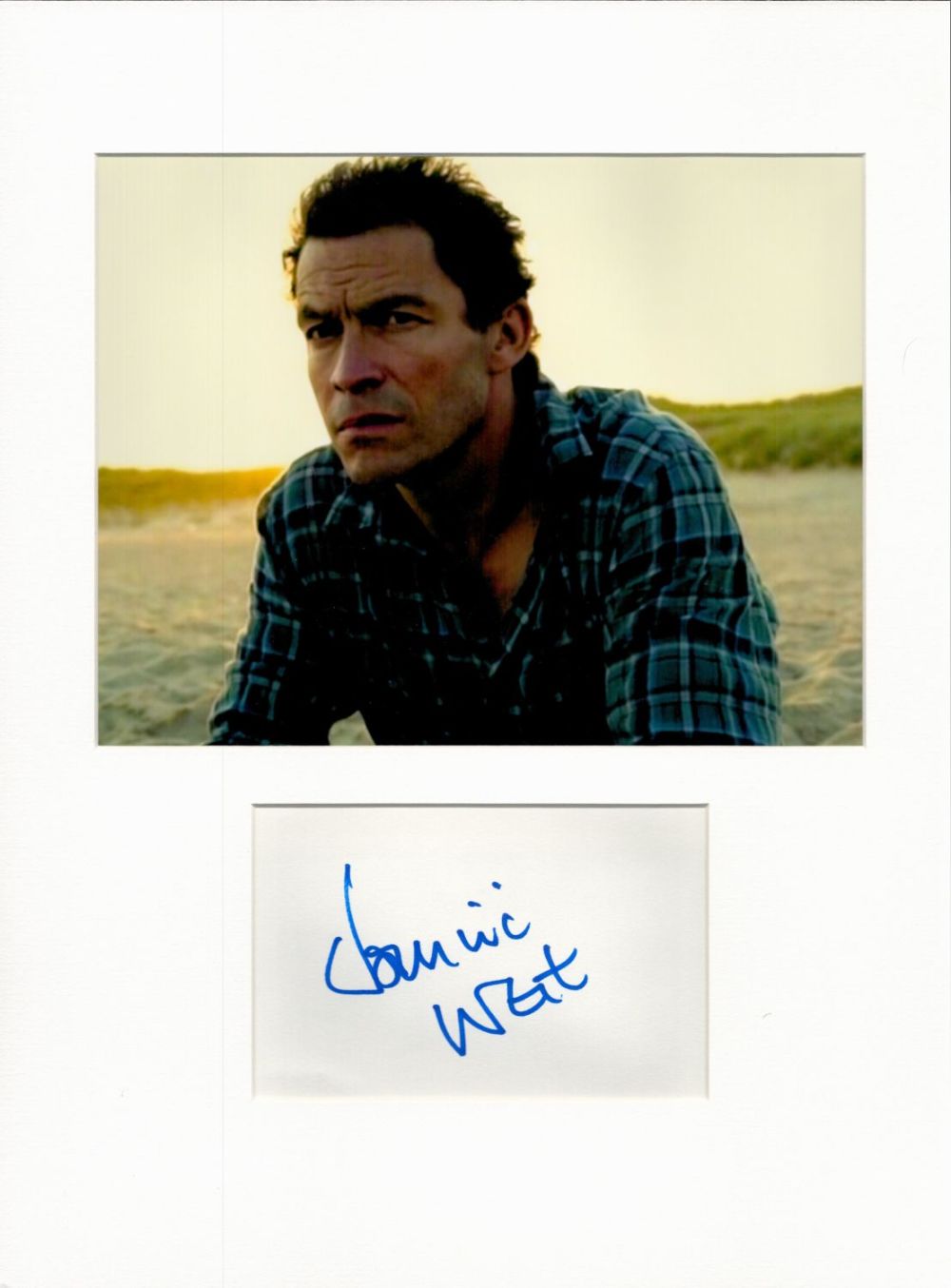 Lot 152: Dominic West 16x12 overall The Affair mounted signature...