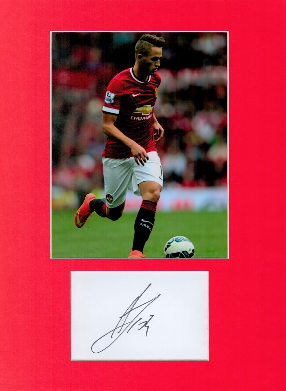 Lot 256: Football Adnan Januzaj 16x12 overall Manchester United mounted...