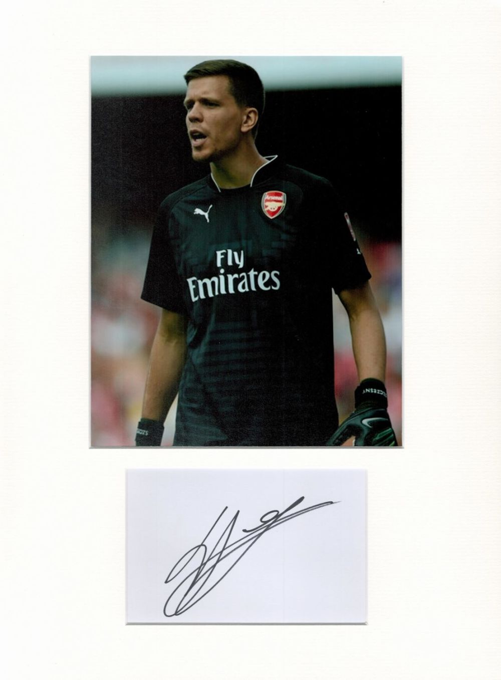 Lot 301: Football Wojciech Szczesny 16x12 overall Arsenal mounted signature...