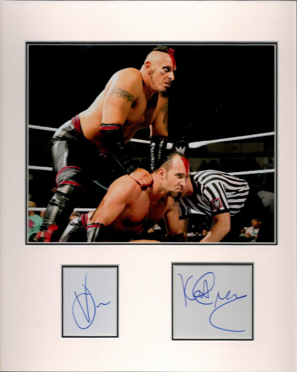 Lot 323: The Ascension WWE 15x13 overall mounted signature piece....