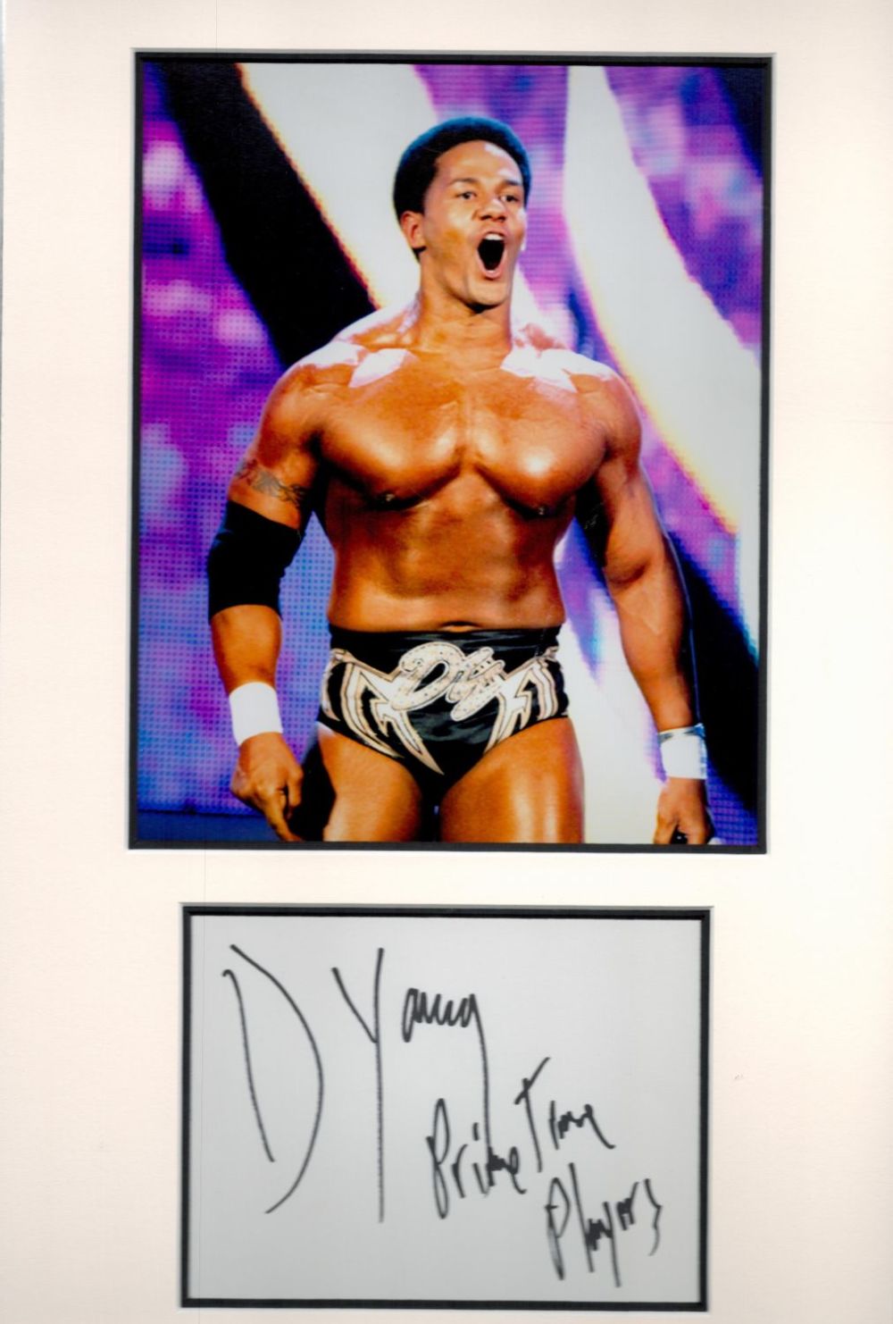 Lot 326: Darren Young WWE 18x11 overall mounted signature piece....
