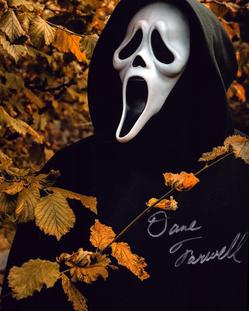 Lot 269: Dane Farwell signed 10x8inch colour photo.